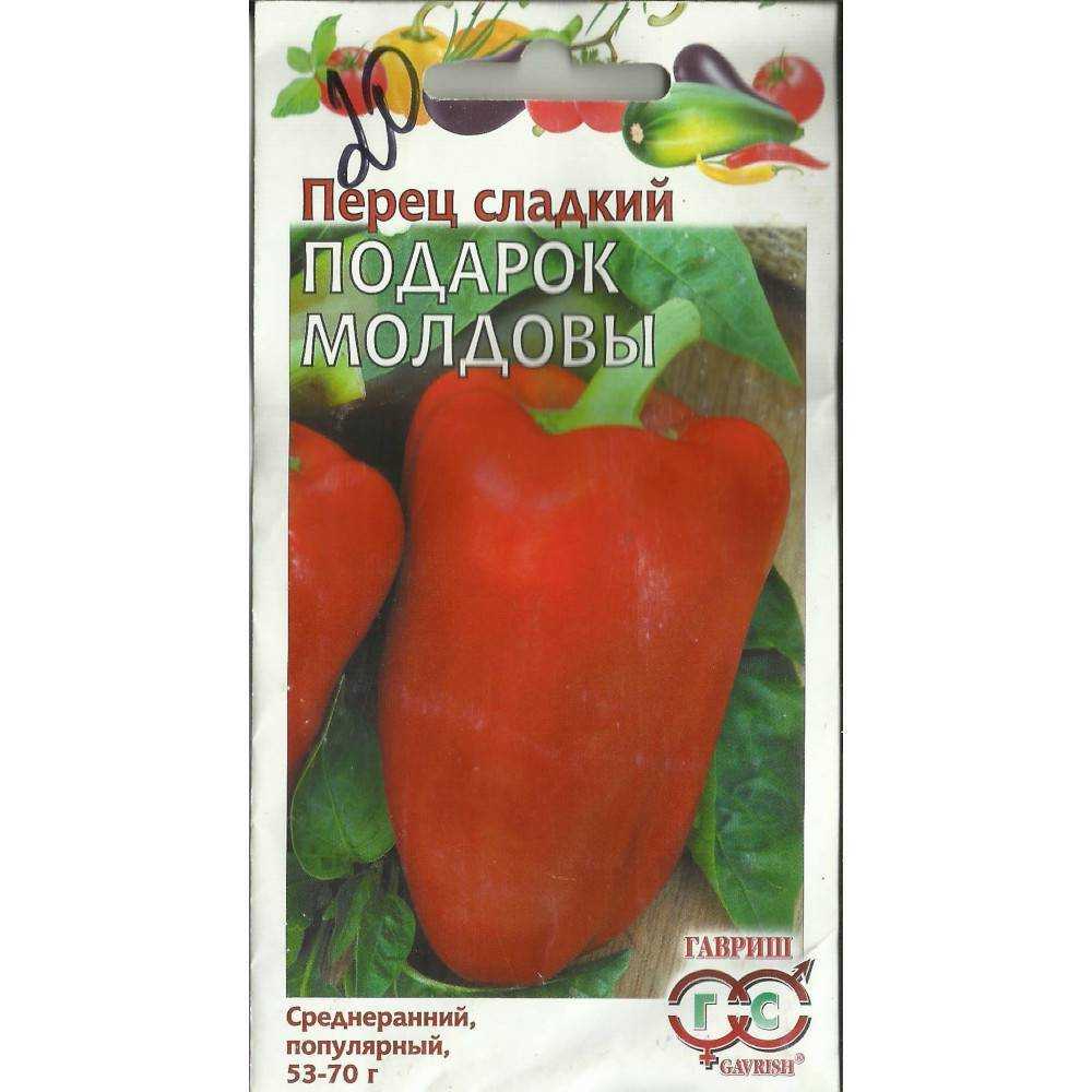 Перец подарок молдовы: описание сорта и уход за растением