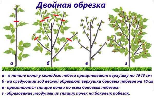 Навигация по записям