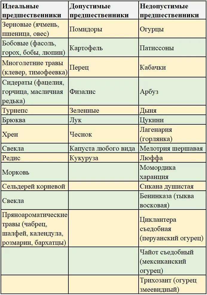 Что сажать после кабачков. после чего сажать кабачки