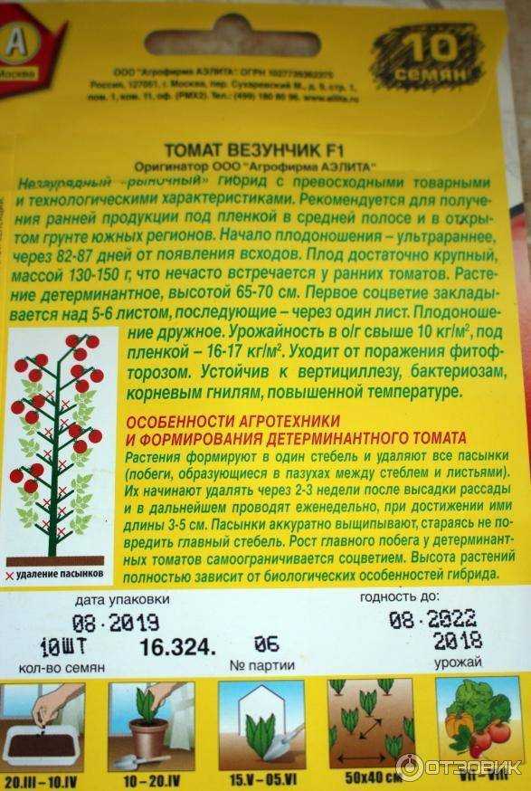 Вкусный, как шоколадка, томат чёрная лакомка