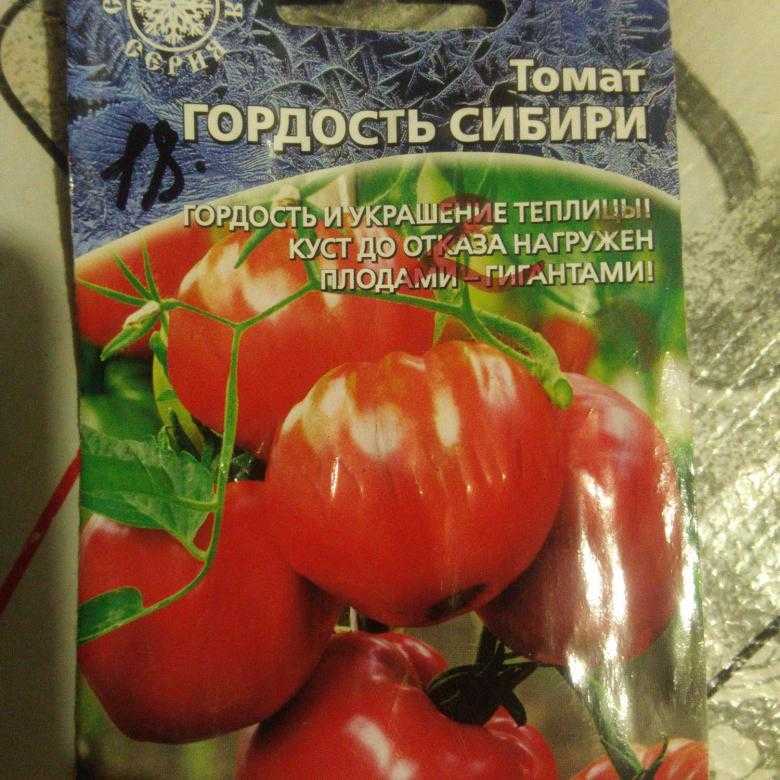 Томат сибирский скороспелый: характеристики, урожайность, особенности выращивания и ухода | садоводство и огородничество
