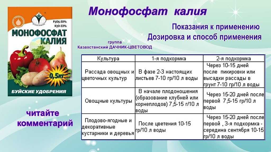 Подкормка дрожжами: огурцов, томатов в теплице и открытом грунте