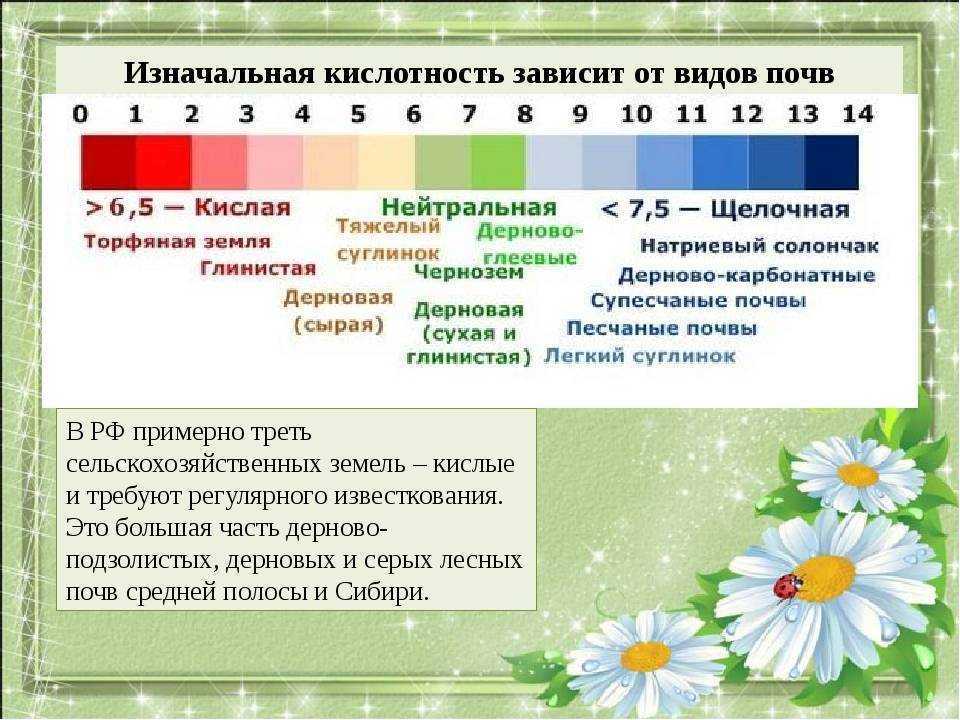 Способы определения кислотности почвы без специальных приборов