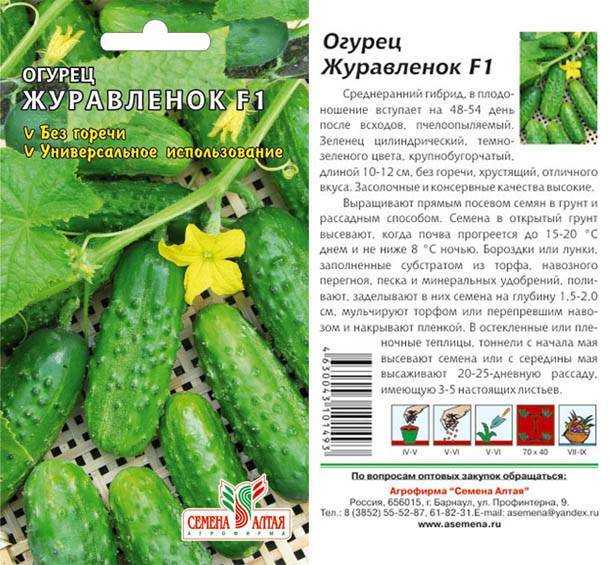 Кустовой огурец: 120 фото, характеристики и секреты выращивания кустовых сортов огурцов