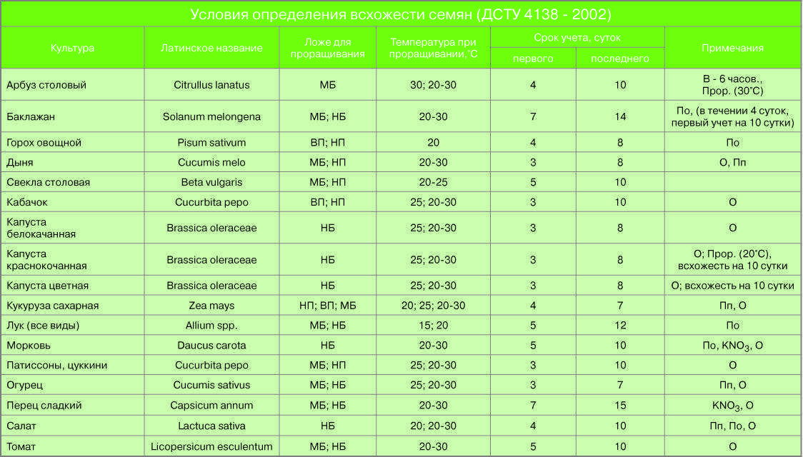Как проводится выращивание спаржи из семян на даче