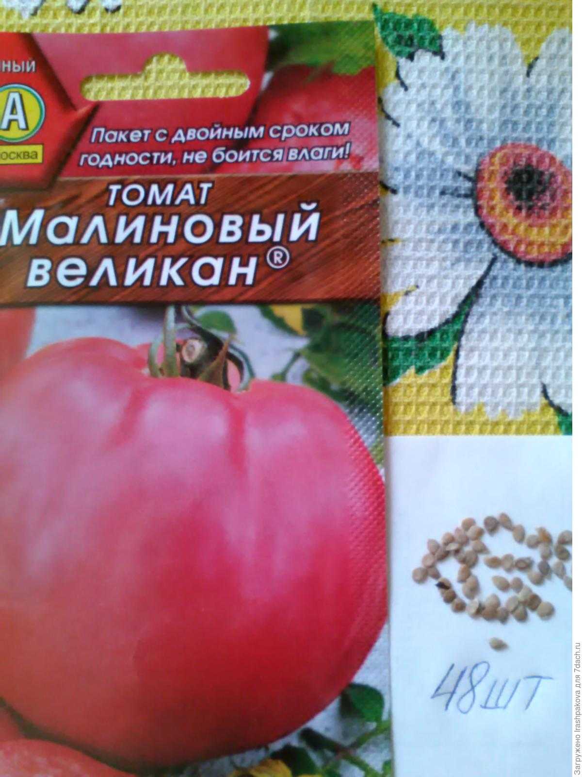 Томат "малиновый гигант": характеристика и описание сорта