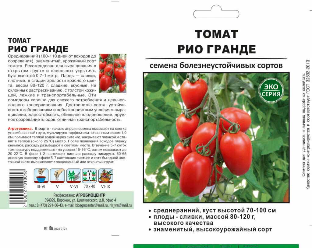 Описание сортовых особенностей томата Рио Гранде, его достоинств и недостатков Важные нюансы ухода за культурой, рекомендации по выращиванию Отзывы садоводов
