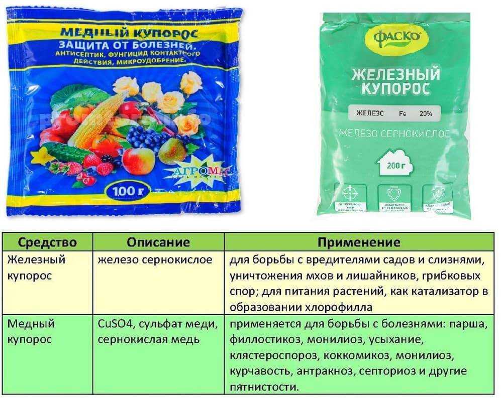 Инструкция по применению медного купороса в садоводстве