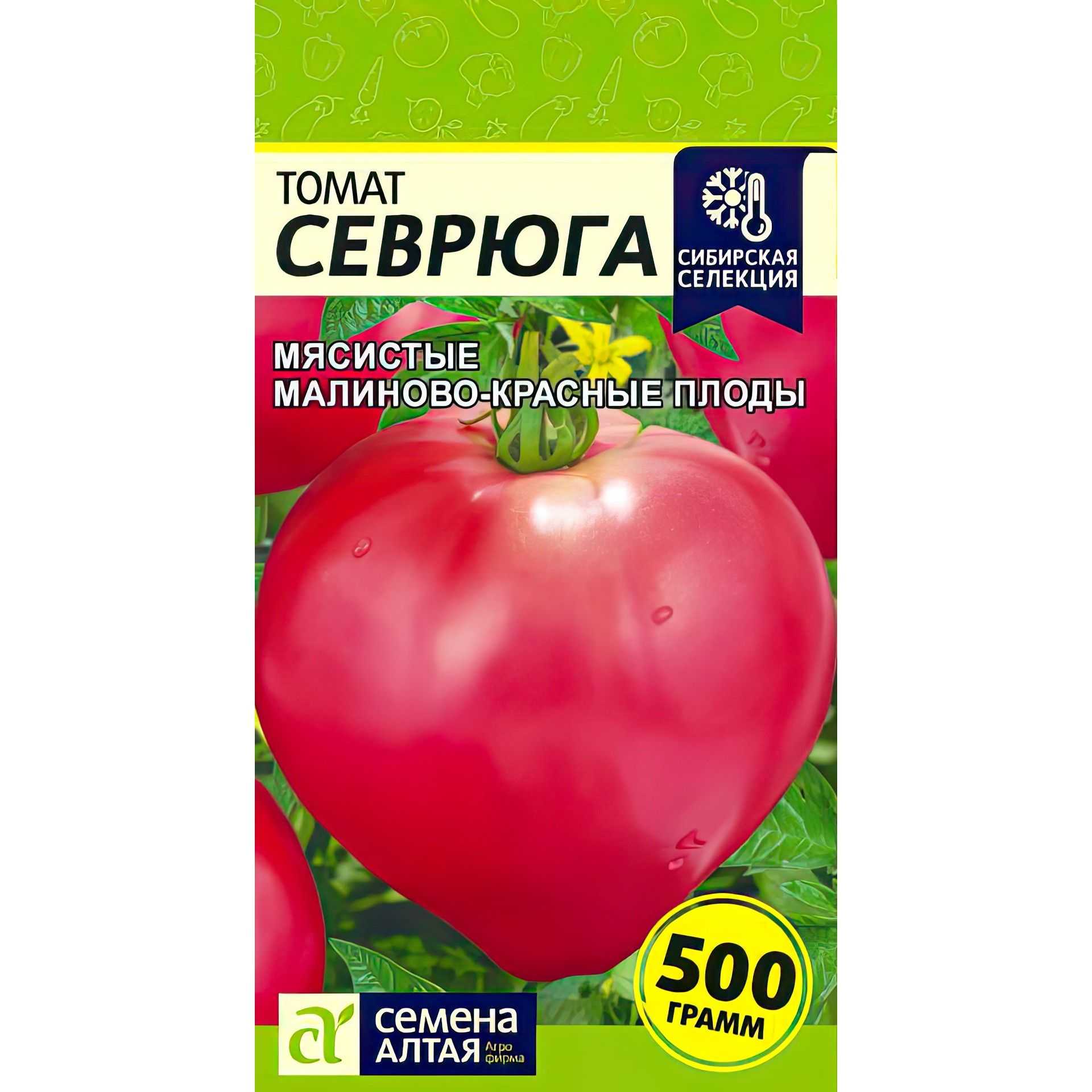 Томат севрюга: характеристика и описание сорта, фото, отзывы, урожайность