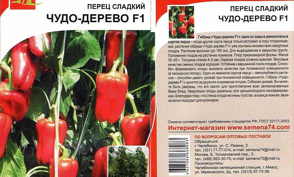 Перец "колокольчик": описание сорта, фото, отзывы