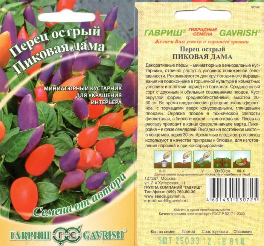 Перец огонек на подоконнике: посадка из семян и уход + фото