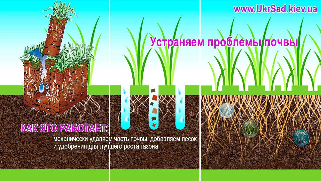 Весенний уход за газоном