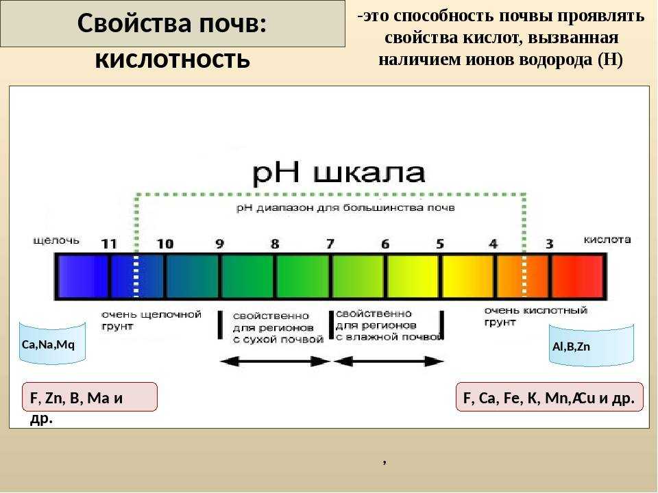 Как раскислить почву на огороде: 5 проверенных способов