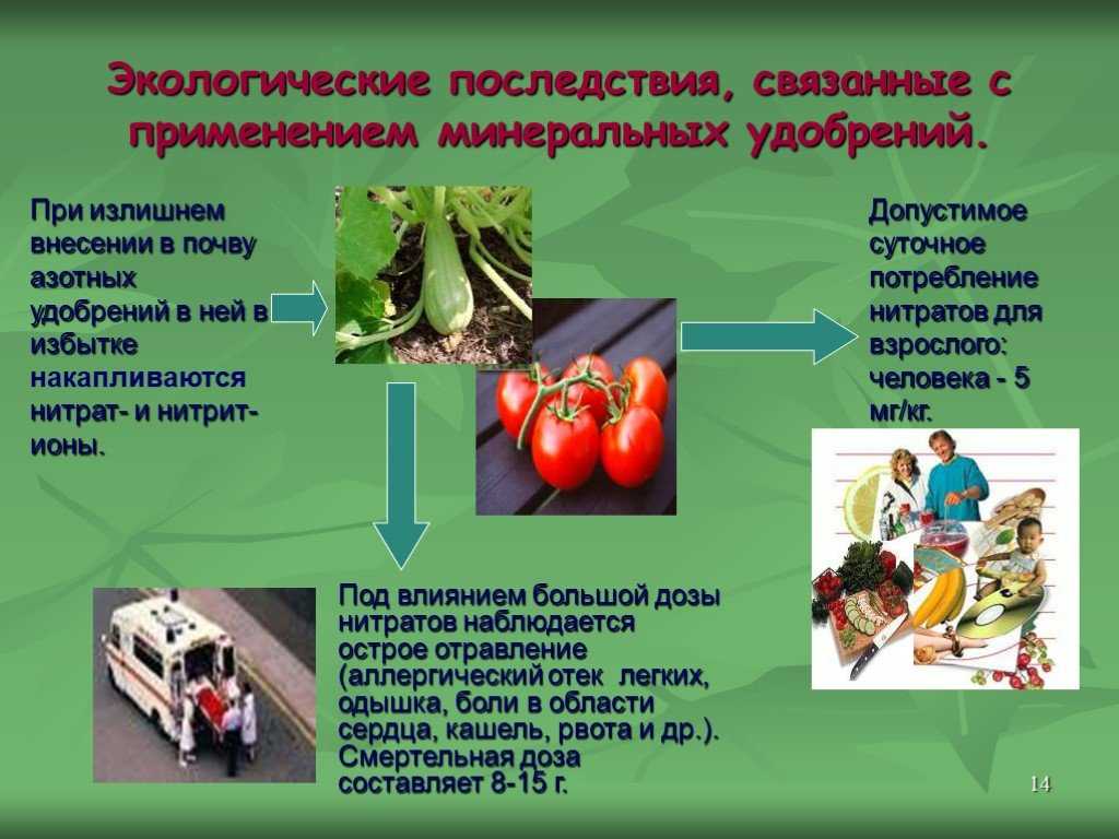 Органическое земледелие с нуля