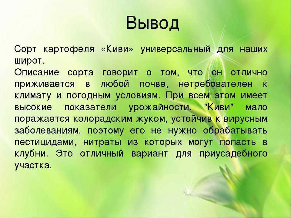 Киви – уникальный сорт картофеля: характеристики, свойства, методы
