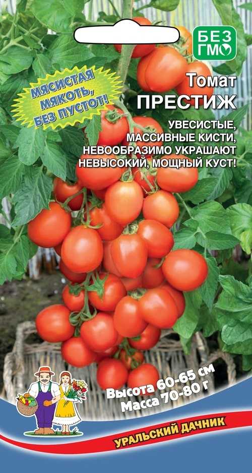 Томат «дачник» — раннеспелый сорт для открытого грунта