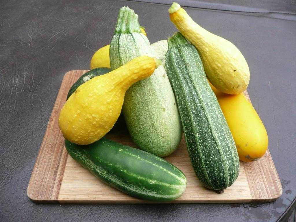 Цукини и кабачок: в чём разница между овощами