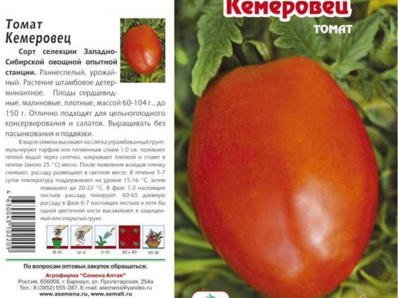 Томат лабрадор: описание сорта, характеристика