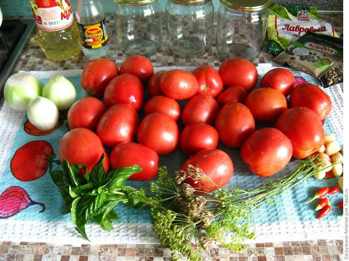 Описание и характеристики одного из самых вкусных сорта томата — «столыпин»