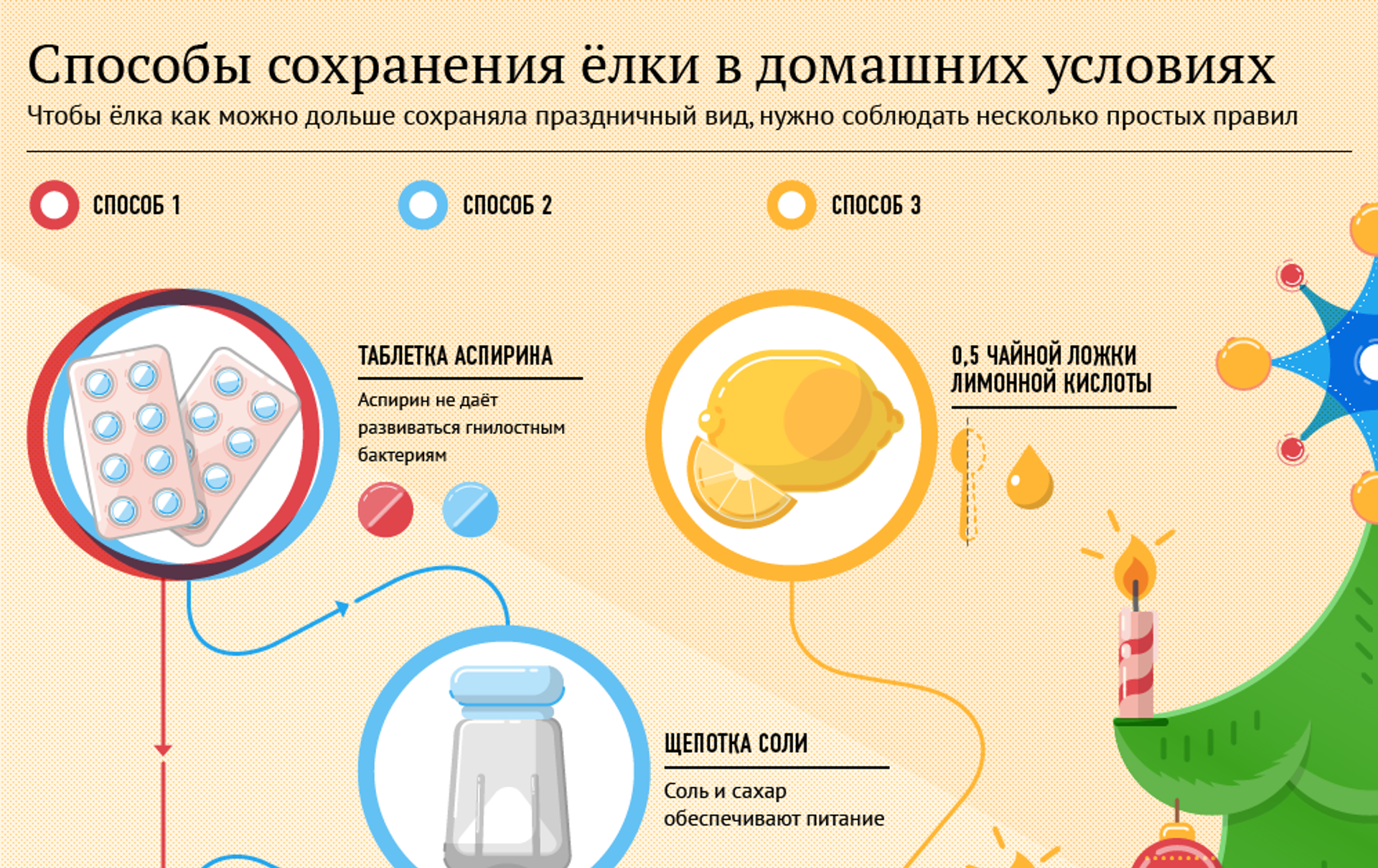 Как ухаживать за новогодней елкой - wikihow