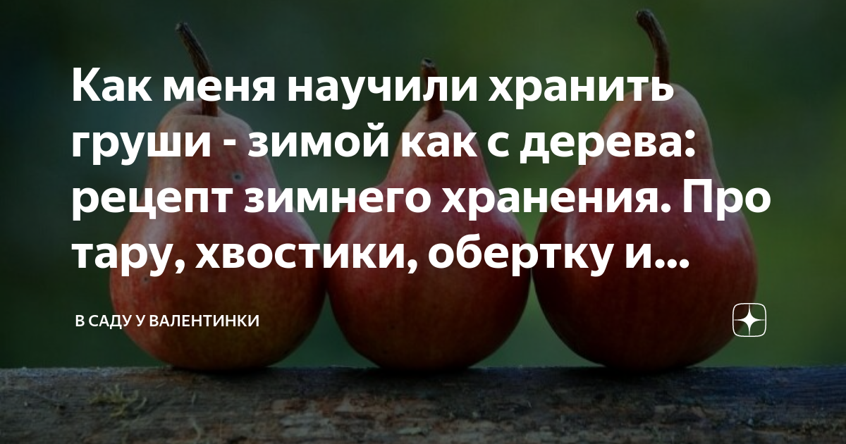 Как хранить груши долго, в квартире, в погребе