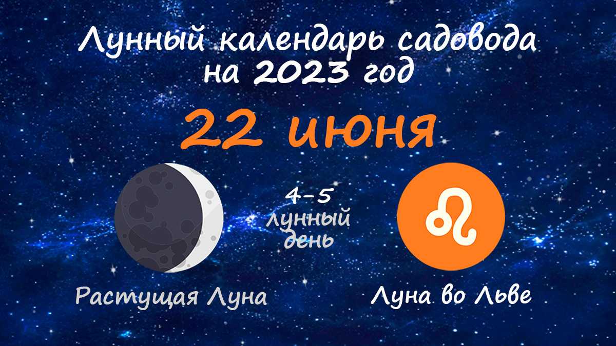 Когда сажать лук весной в открытый грунт по лунному календарю 2019