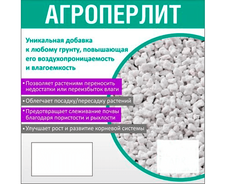 Применение перлита и вермикулита для улучшения качества грунта для посева семян на рассаду и пересадки комнатных растений