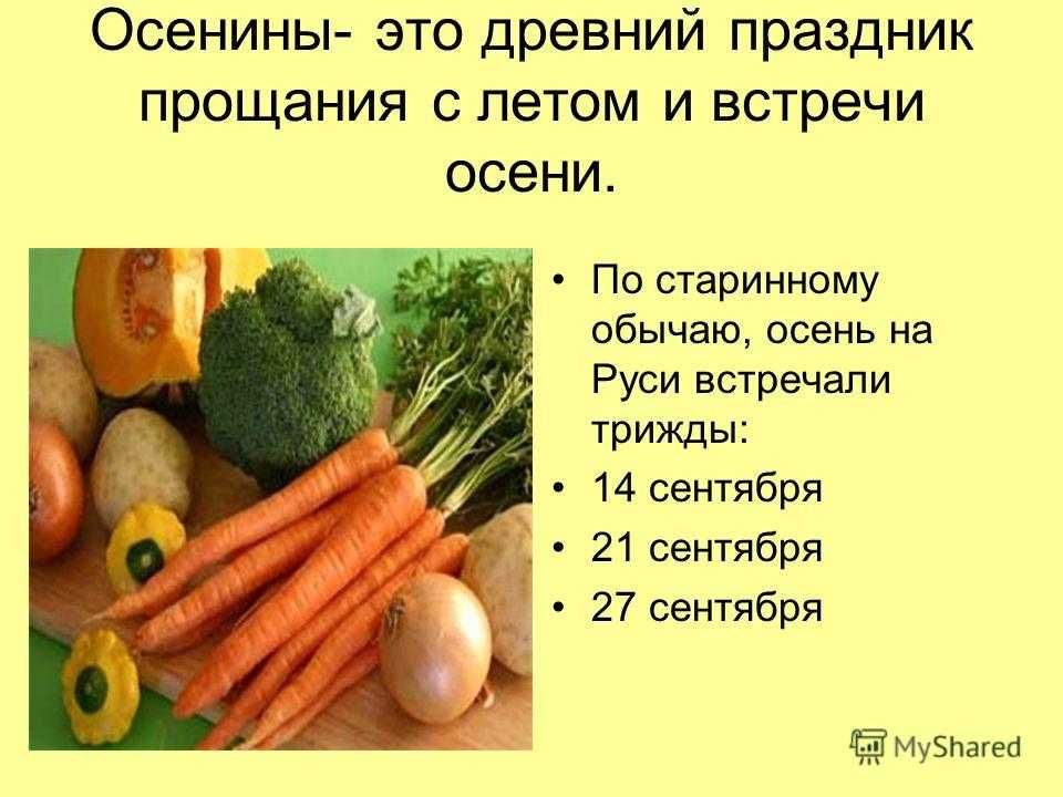 День благодарения (праздник жатвы): история и традиции