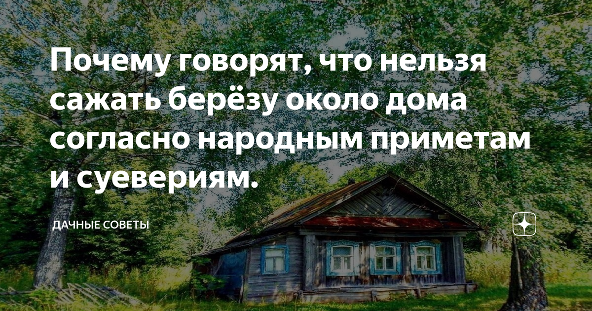 Построить дом приметы. Береза на участке приметы. Береза рядом с домом примета. Почему нельзя сажать березу возле дома. Дачные приметы.