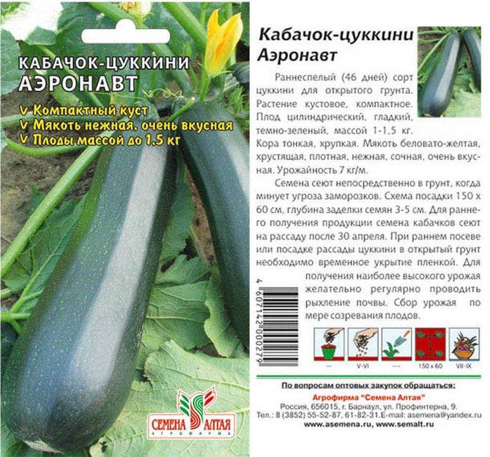 Круглые кабачки: описание лучших сортов, выращивание и урожайность с фото