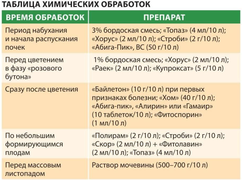 Любой садовод знает, что у каждого растения могут появиться болезни, и груша — не исключение Одной из характерных для неё болезней является ржавчина