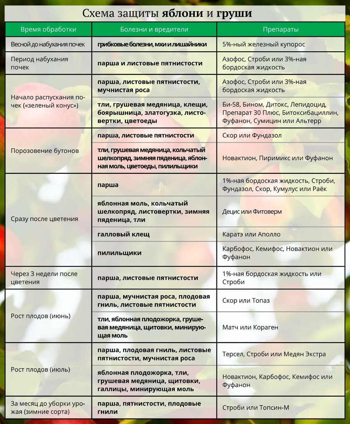 Весенняя обработка сада (пошаговый план работ+препараты)