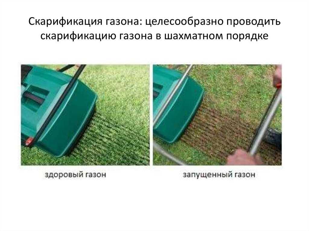 Скарификатор для газона: какой лучше - электрический, бензиновый или ручной, рейтинг моделей, их плюсы и минусы