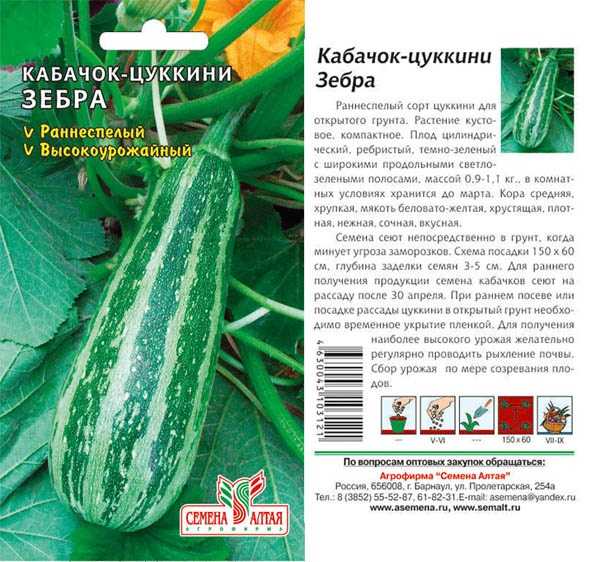 Цукеша кабачок: описание сорта и 6 правил ухода