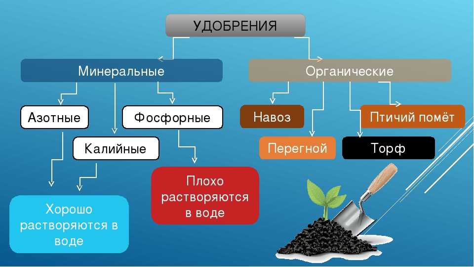 Минералы, необходимые организму: кальций (ca), фосфор (p), железо (fe), цинк (zn), медь (cu)