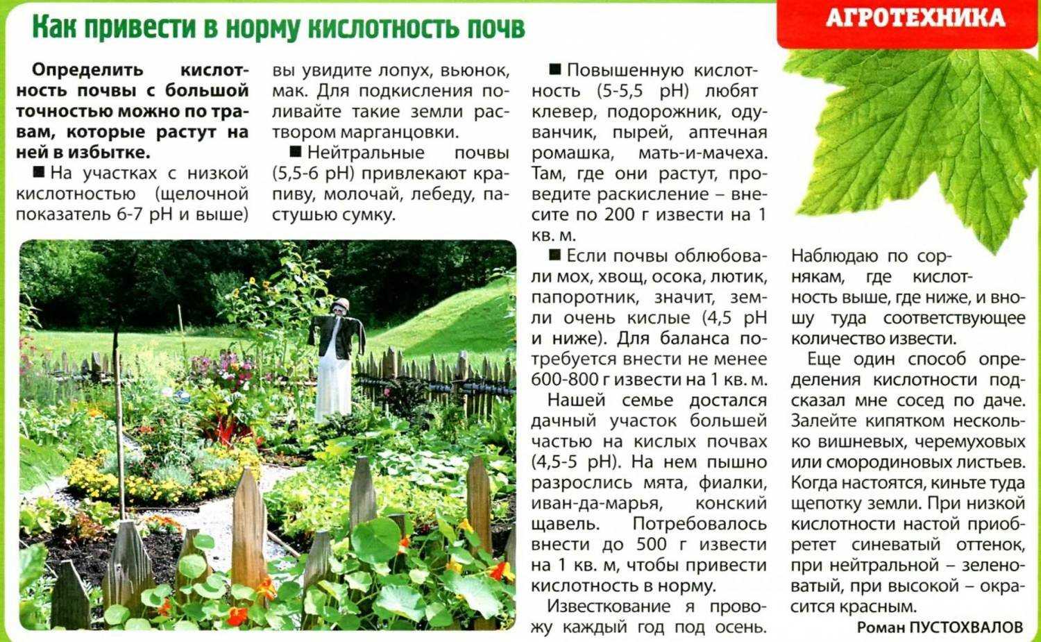 10 самых важных осенних дел на даче