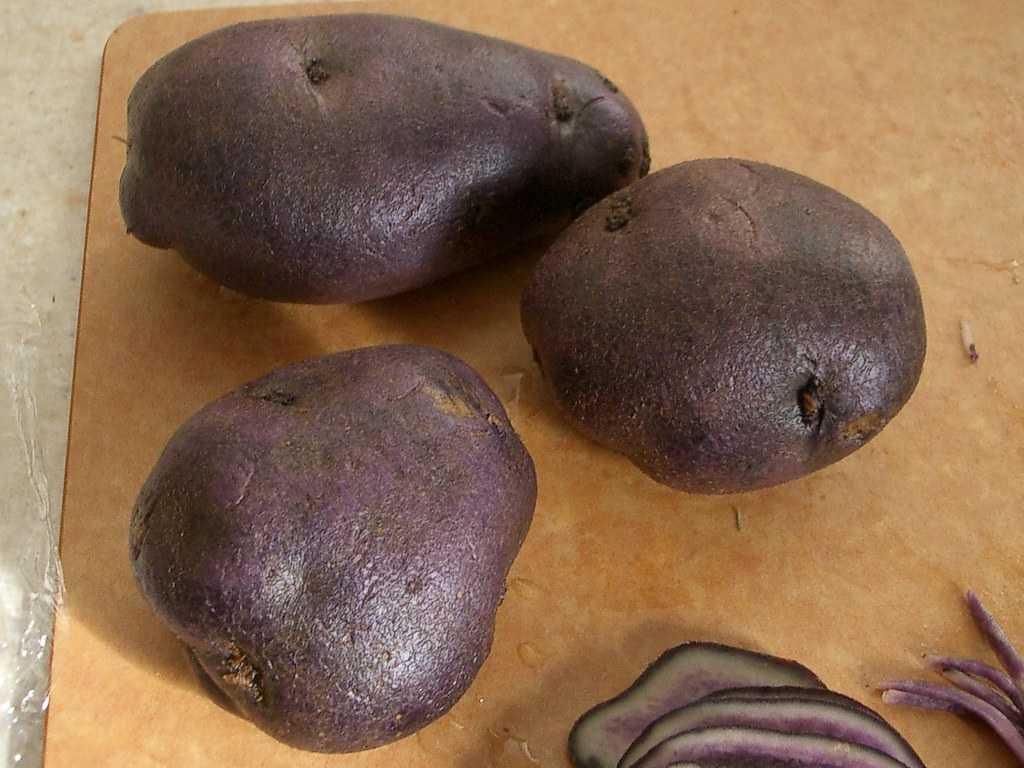 Красный картофель: сорта и их описание