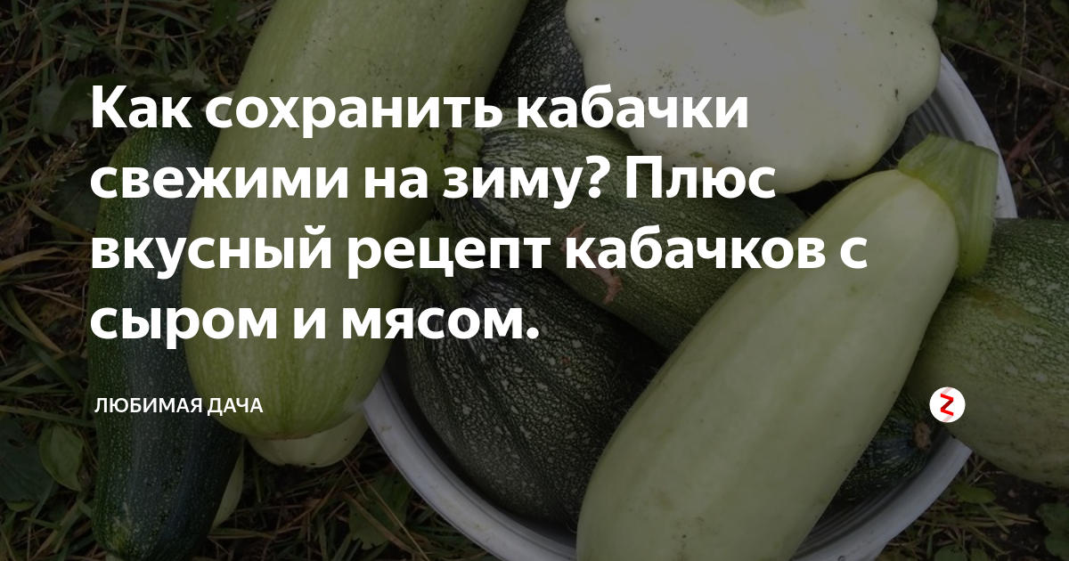 Едят ли свежие кабачки. Кабачок в холодильнике. Как можно хранить кабачки. Как сохранить кабачки на зиму. Как сохранить кабачки.