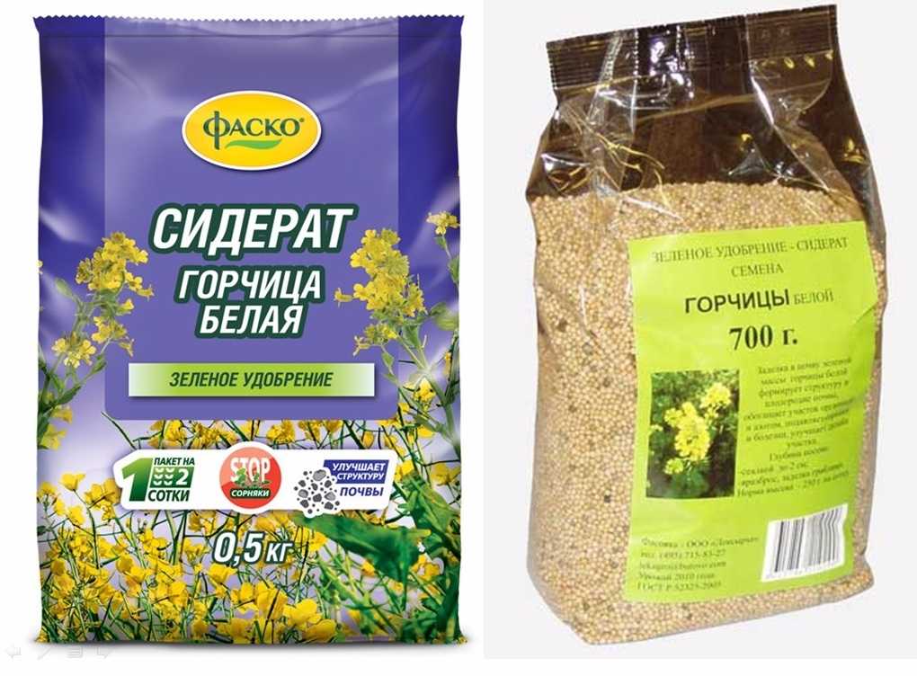 Когда какие сидераты сеять и закапывать: лучшие сидераты: горчица, фацелия, рожь; посев сидератов