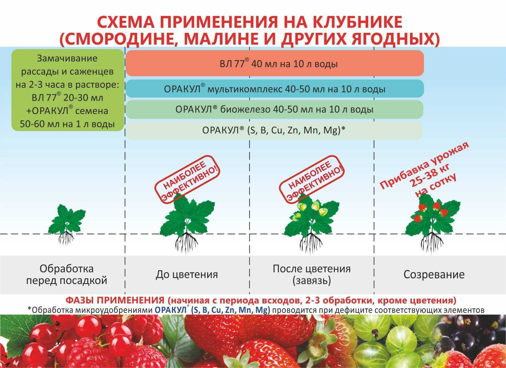 Обрезка вишни и черешни после сбора урожая, сроки