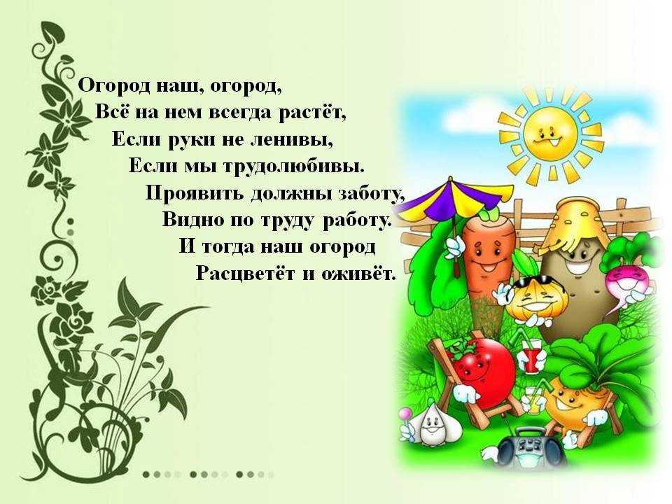 Что делать на даче в октябре и ноябре: план работ