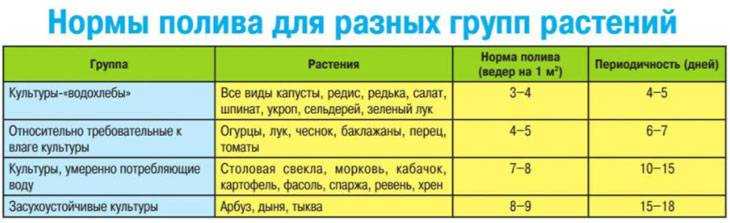 Можно ли поливать плодовые деревья во время цветения, как часто