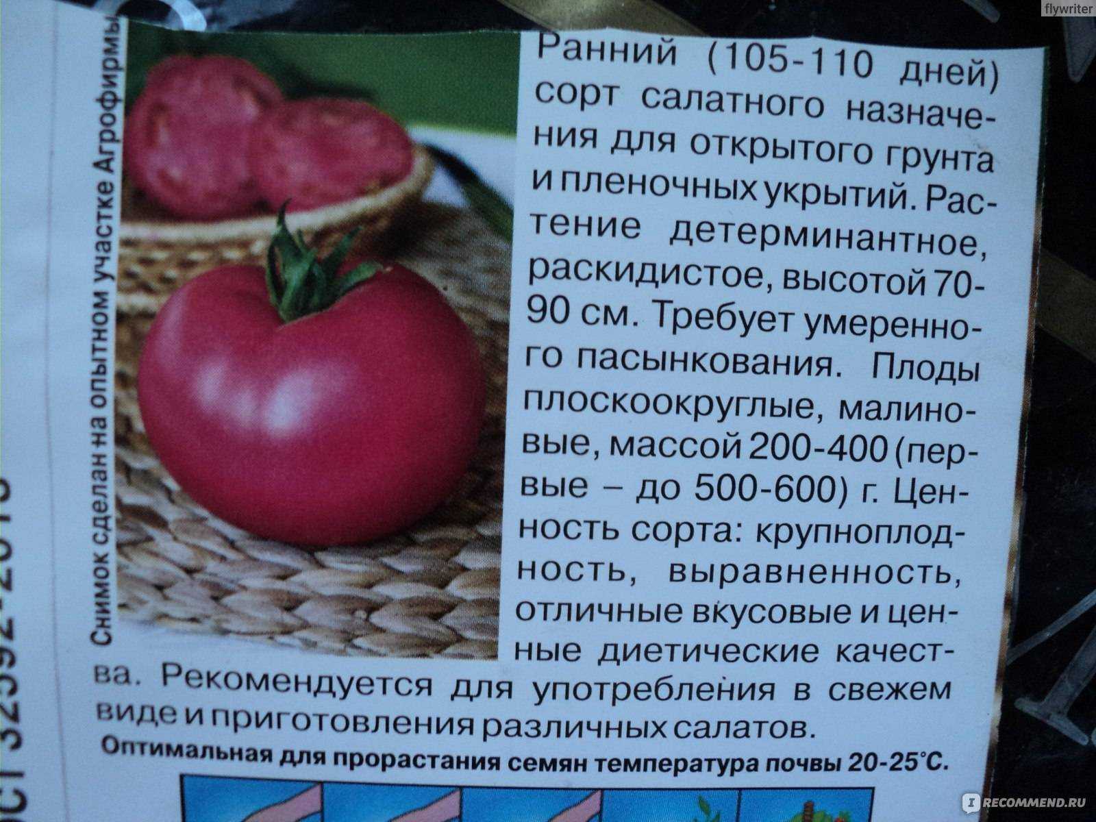 Томат «малиновый гигант» - фото и отзывы
