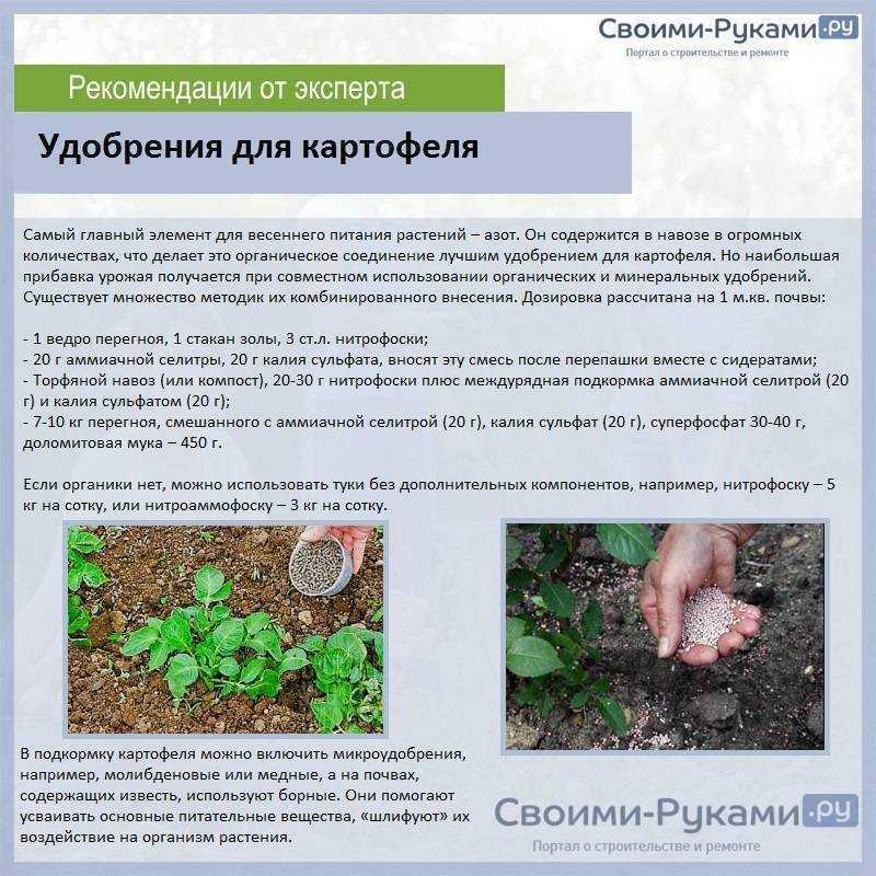 Чем удобрить почву осенью после уборки урожая: какие удобрения вносить