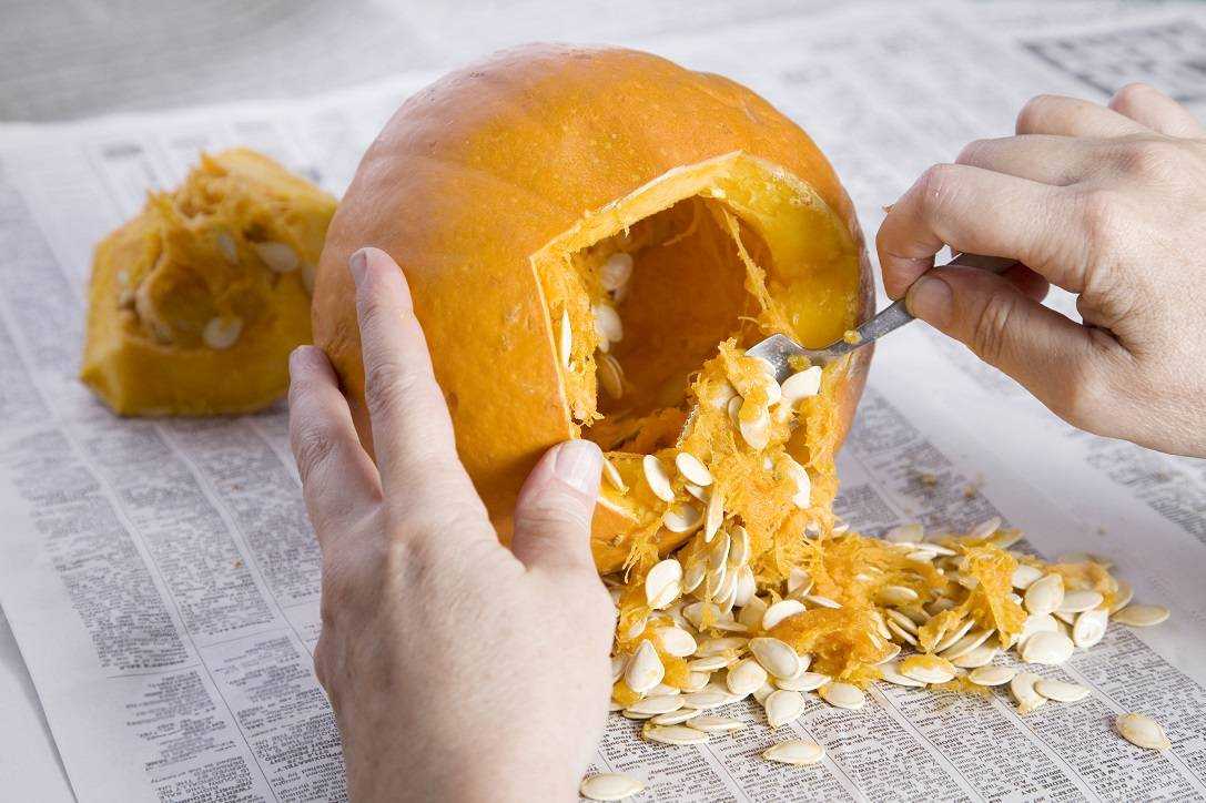 Как почистить тыкву от кожуры — простая пошаговая инструкция