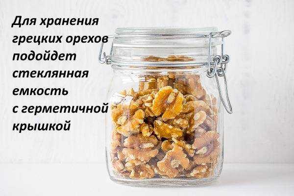 Срок и условия хранения грецких орехов в скорлупе, очищенных, зеленых