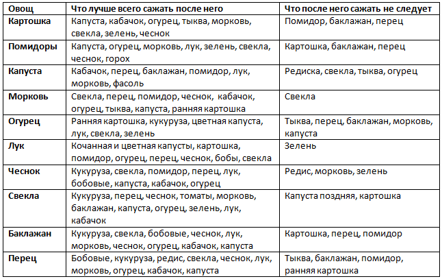 Что можно посадить на грядке после лука на следующий год, а что не следует