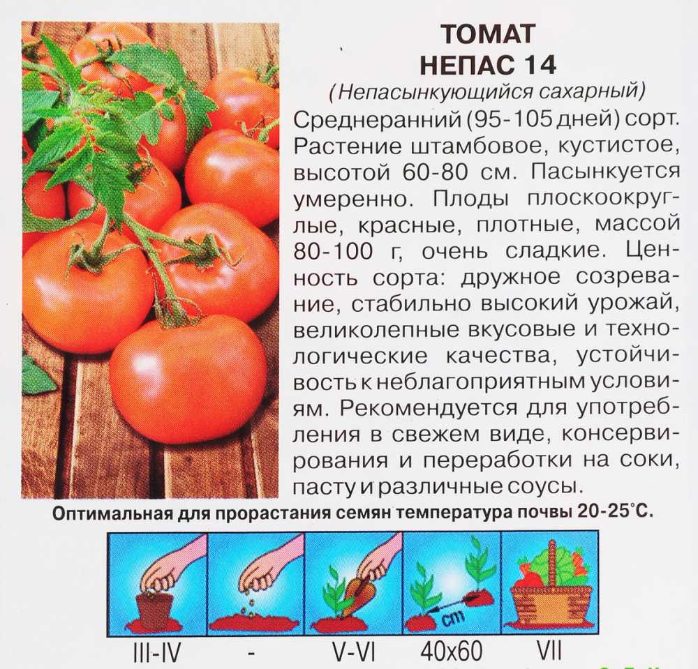 10 низкорослых томатов, которым будут комфортно даже на маленьком подоконнике