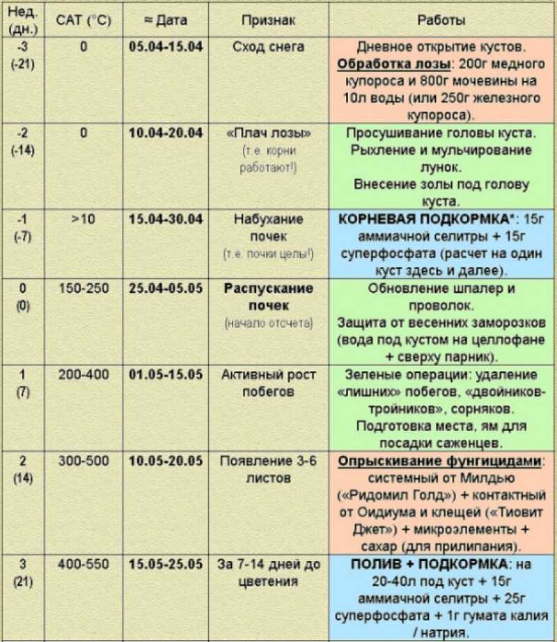 Уход за виноградом весной и летом - 69 фото главных тонкостей ухода