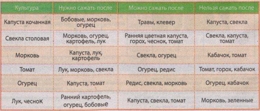 Что можно сажать после лука на следующий год